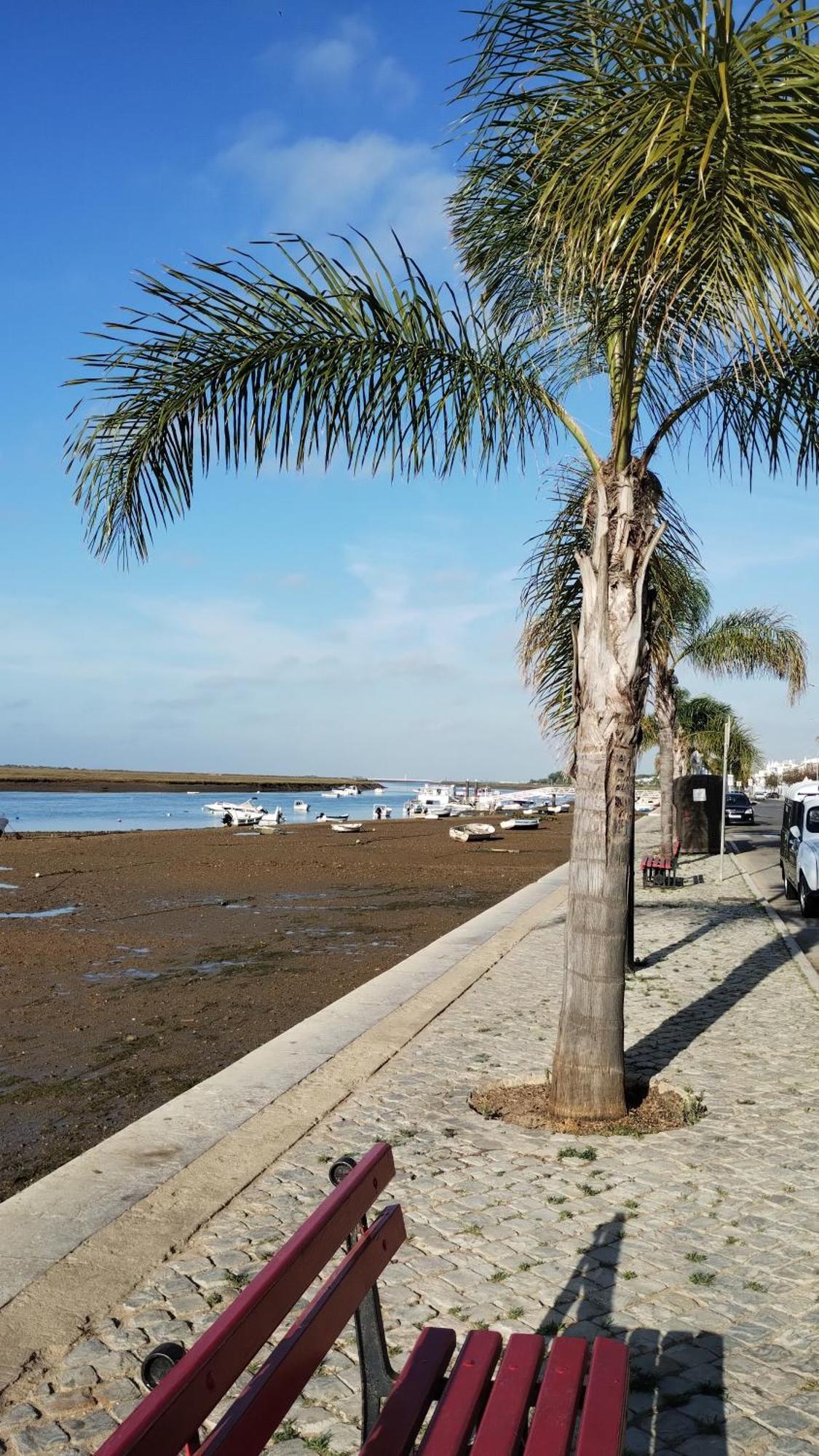 Ferienwohnung Casinha Secreta - A Gema Escondida Da Santa Luzia Santa Luzia  Exterior foto